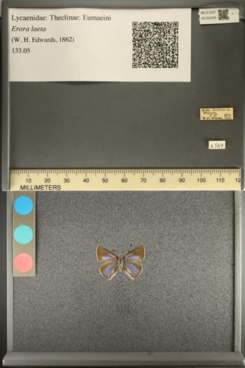 Media type: image;   Entomology 192559